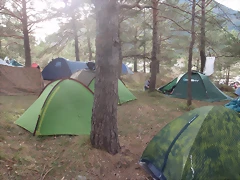 PC203643 PC203643