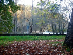 DSCN8995 DSCN8995