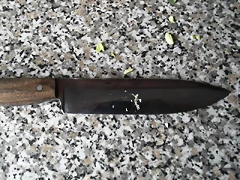 DSCF1200