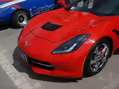 Stingray 01