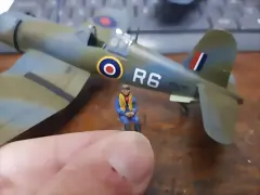 SDC21295 SDC21295
