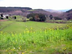 DSCN8428