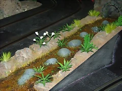 Barranquillo n 2 006 (Small)