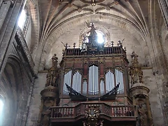 ORG PLASENCIA ORG PLASENCIA