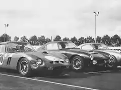 Ferrari 250 GTO & 250 GT - TdF'62 B