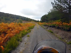 DSCN0164