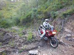 DSCN3568 DSCN3568