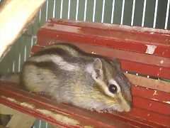 ardi Cosita el 29 - 5 - 2013