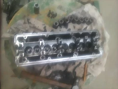 IMAG0666 IMAG0666