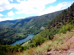 DSCN7793 DSCN7793