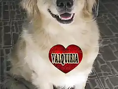 VALQUIRIA CORAZON