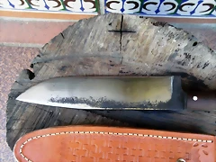 DSCF1654 DSCF1654
