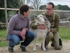 SILVANA8