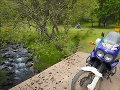 DSCN1167 DSCN1167