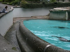 Zoos Wuppertal, Dortmund y Gelsenkirchen 01-10-09 039 Zoos Wuppertal, Dortmund y Gelsenkirchen 01-10-09 039
