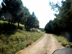 DSCN7133 DSCN7133