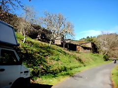 DSCN5068 DSCN5068