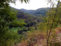 DSCN9681 DSCN9681