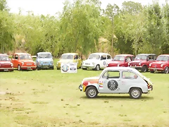 P1070331 P1070331