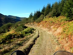DSCN0032 DSCN0032