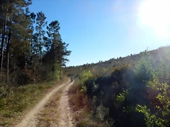 DSCN9027