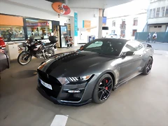 DSCN2987 DSCN2987
