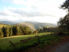 DSCN8468