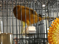 IMG_20170122_133151 IMG_20170122_133151