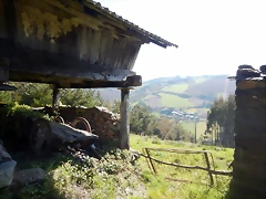 DSCN4375 DSCN4375