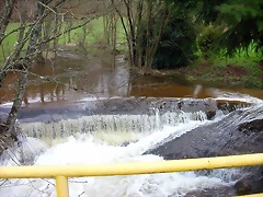 DSCN5385 DSCN5385