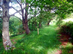 DSCN5205