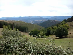 DSCN3146 DSCN3146