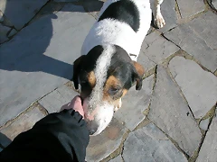 DSCN7783 DSCN7783