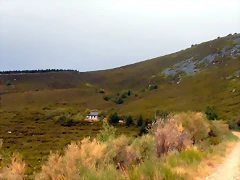 DSCN8673 DSCN8673