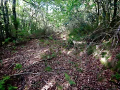 DSCN2096 DSCN2096