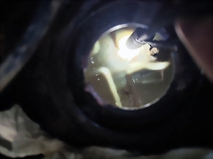03