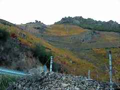 DSCN6555 DSCN6555