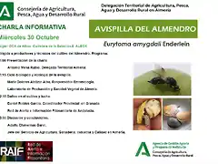 avispilla