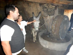 DSCN5207