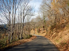DSCN0098