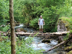 IMG_7564 IMG_7564