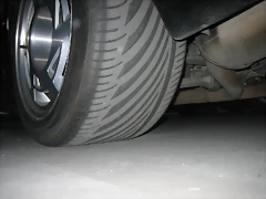 IMG_6819 IMG_6819