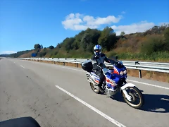 DSCN8575 DSCN8575