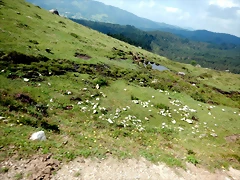 DSCN5753 DSCN5753