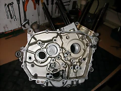 DSCN4176