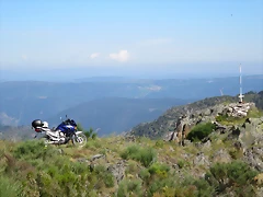 IMG_2731 IMG_2731