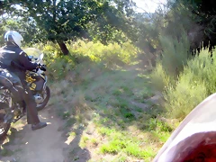 IMG_0620 IMG_0620