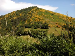 DSCN9211 DSCN9211