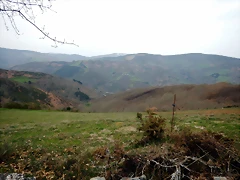 DSCN3515 DSCN3515