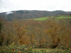 DSCN0865 DSCN0865